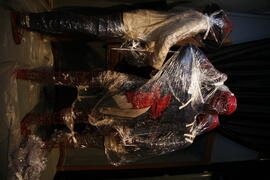 ภาพถ่าย Unseen เรียงความประเทศไทย : หนึ่งในร้อย