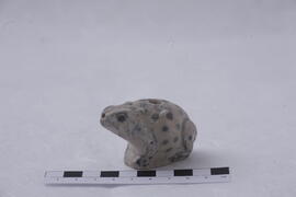 ภาพถ่ายการขุดค้นทางโบราณคดี