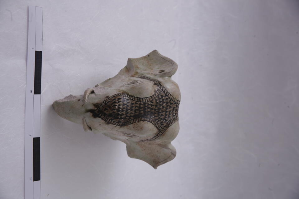 Original Digital object not accessible