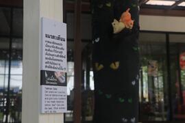 นิทรรศการ หวย : ภาพรวมงานด้านนอก (ภาพที่ 13)