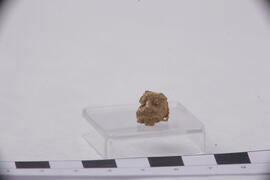 ภาพถ่ายการขุดค้นทางโบราณคดี