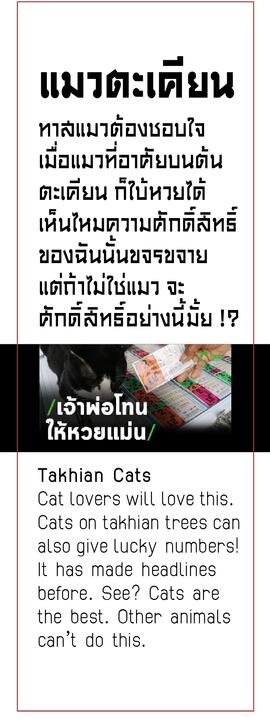 นิทรรศการ หวย : งานป้ายและกราฟิก : งานกราฟิก ตะเคียน 9 ต้น : นางตะเคียน