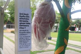 นิทรรศการ หวย : ภาพรวมงานด้านนอก (ภาพที่ 1)