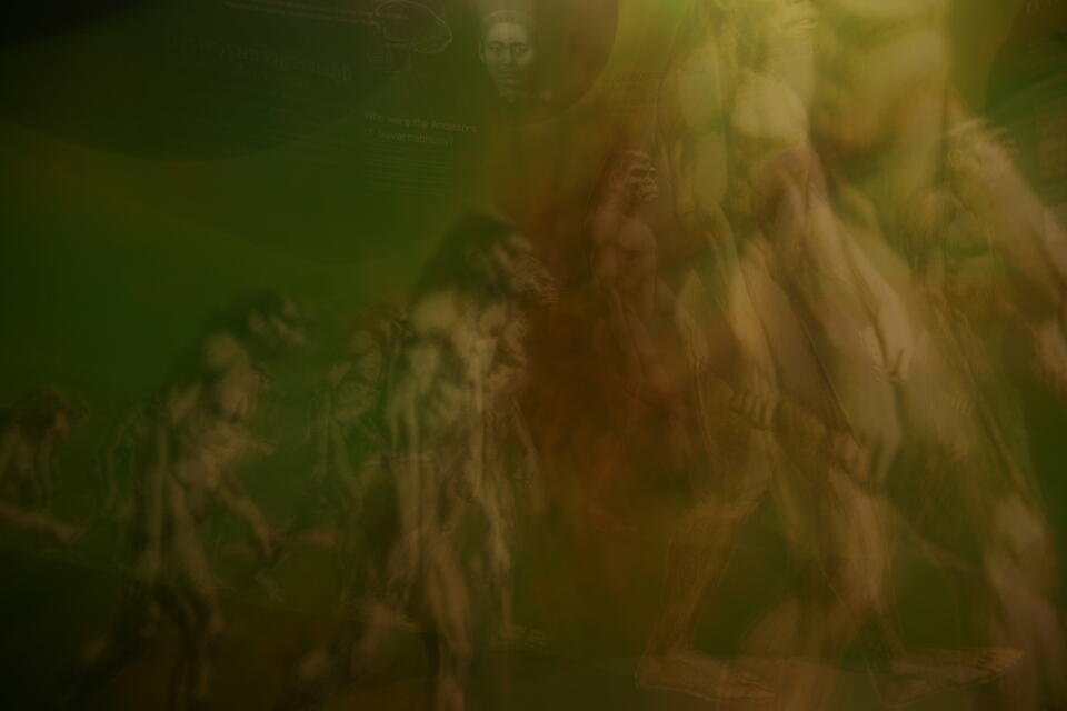 Original Digital object not accessible