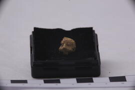 ภาพถ่ายการขุดค้นทางโบราณคดี