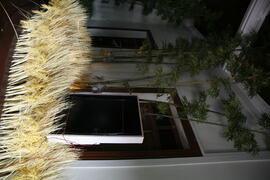 นิทรรศการ ชุด เรียงความประเทศไทย : ห้องชีวิตนอกกรุงเทพฯ