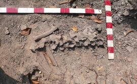 ภาพถ่ายการขุดค้นทางโบราณคดีบนพื้นที่กระทรวงพาณิชย์เดิม