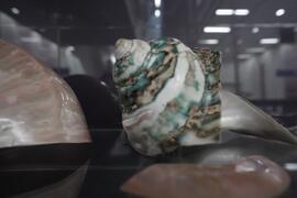 ภาพถ่ายนิทรรศการ ชุด Bangkok Underground