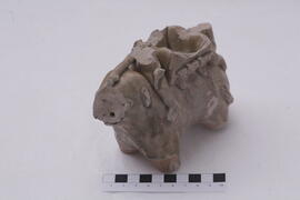 ภาพถ่ายการขุดค้นทางโบราณคดี