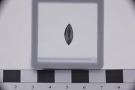 ภาพถ่ายการขุดค้นทางโบราณคดี