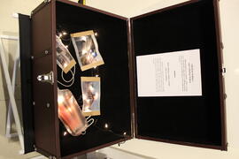 ภาพถ่ายนิทรรศการ ชุด ล่องรอยราชดำเนิน